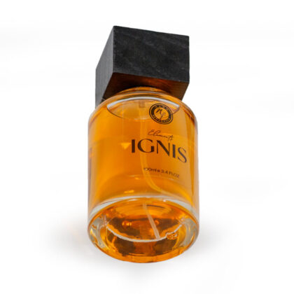 ELEMENTS IGNIS - Image 4